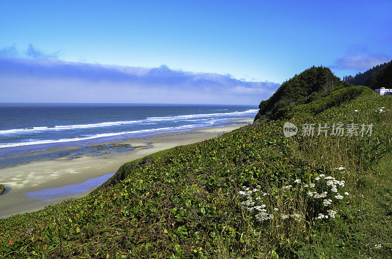 太平洋和俄勒冈海岸/海滩-沙子，冲浪，和茂密的森林